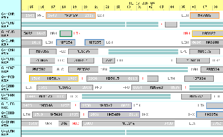 Sector Editor